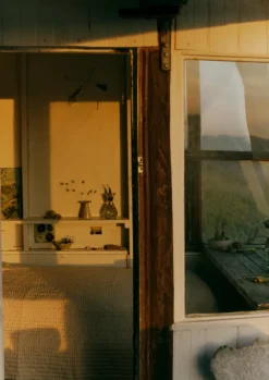 TOAST Decorative Pieces|Ceramics*Alice Passingham Scalloped Flower Frog