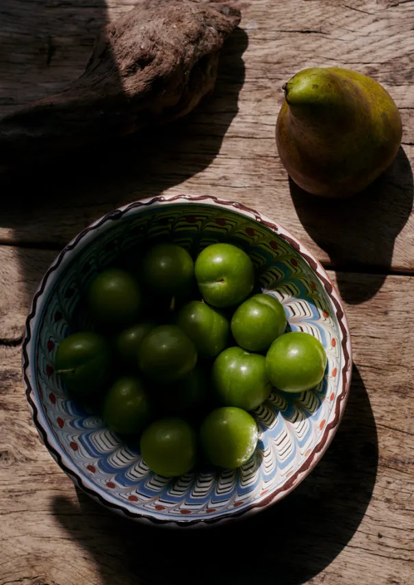 TOAST Ceramics|Tableware*Casa de Folklore Horezu Bowl