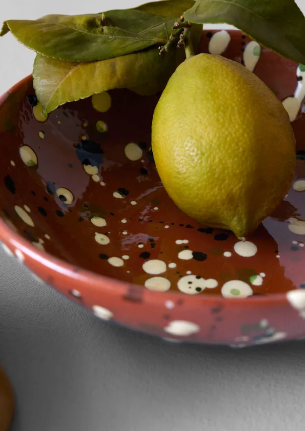 TOAST Ceramics|Tableware*Cortona Splatter Bowl