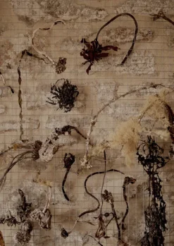 Women TOAST Jewellery*Emily Nixon Rock Bangle