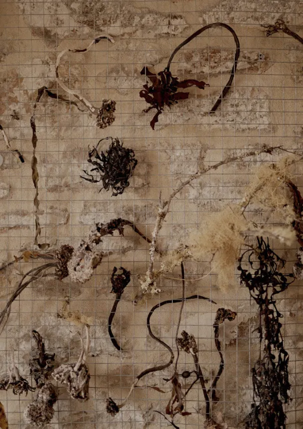 Women TOAST Jewellery*Emily Nixon Rock Bangle