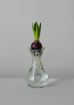 TOAST Glass|Decorative Pieces*Hand Blown Polonaise Vase