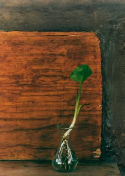 TOAST Glass|Decorative Pieces*Hand Blown Polonaise Vase