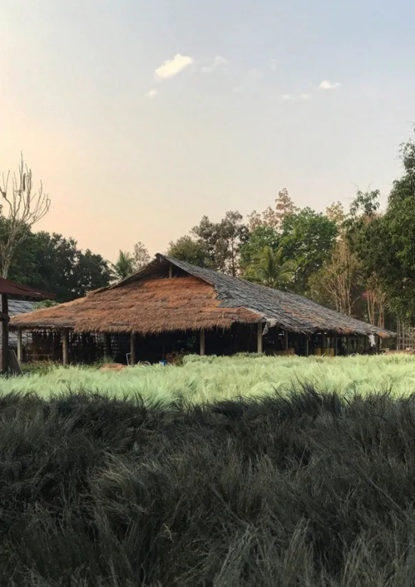 TOAST Outdoor|Kitchen*Sorghum Stripe Broom