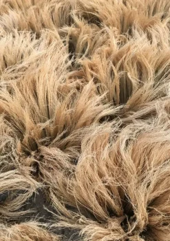 TOAST Outdoor|Kitchen*Sorghum Stripe Broom