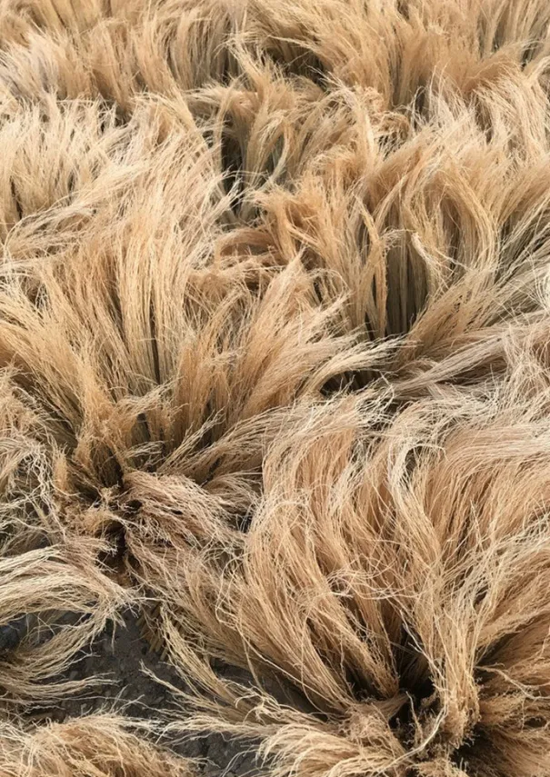 TOAST Outdoor|Kitchen*Sorghum Stripe Broom