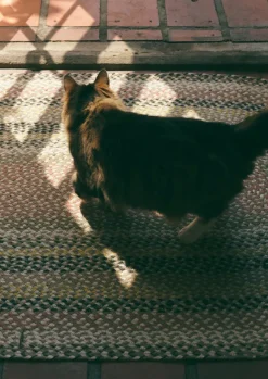 TOAST Textiles|Rugs*The Braided Rug Company Organic Jute Rug