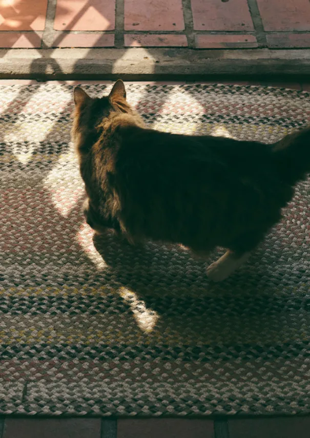 TOAST Textiles|Rugs*The Braided Rug Company Organic Jute Rug