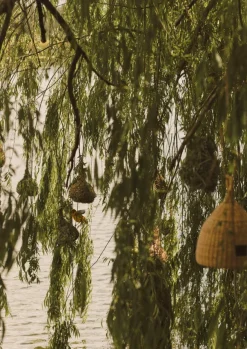 TOAST Outdoor*Veta Vera Grass Bird Nester